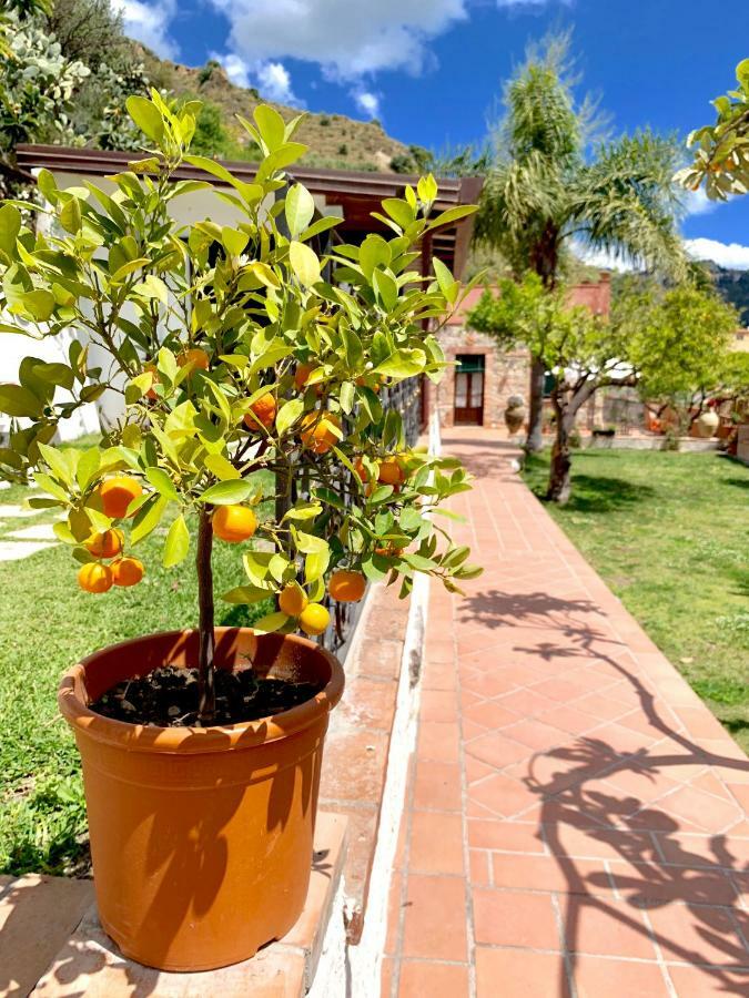 B&B Villa Vittoria Giardini-Naxos Exterior foto